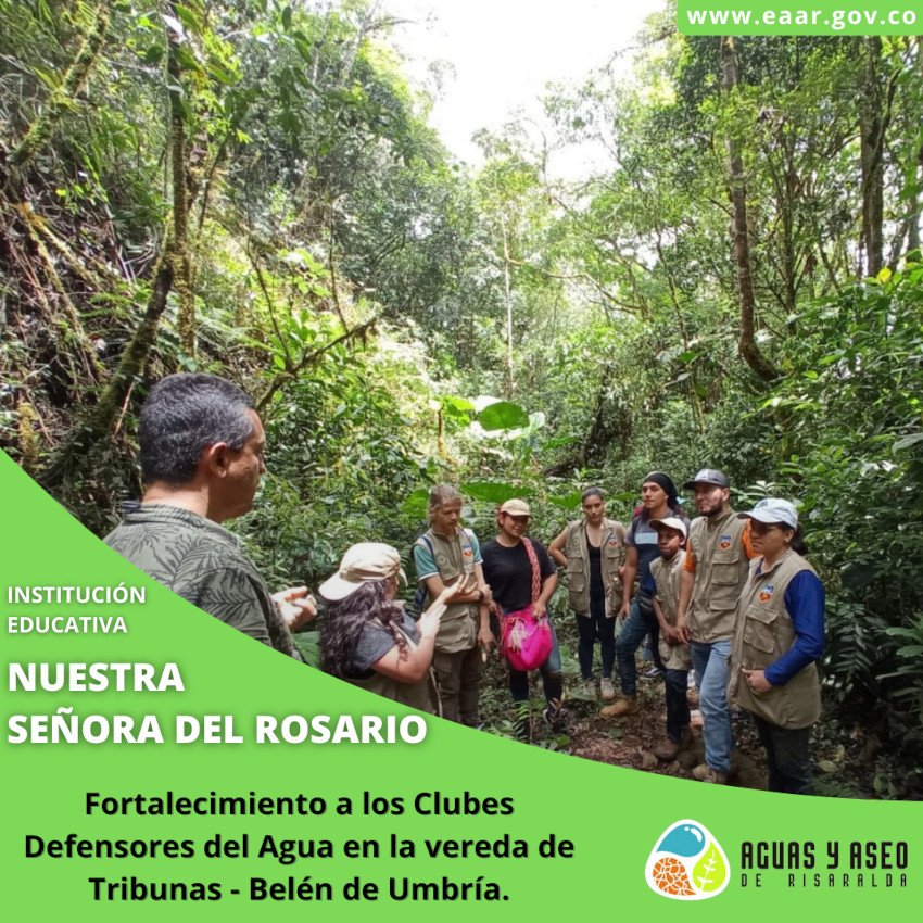 CDA Reforestación Vereda Tribunas Belén de Umbría